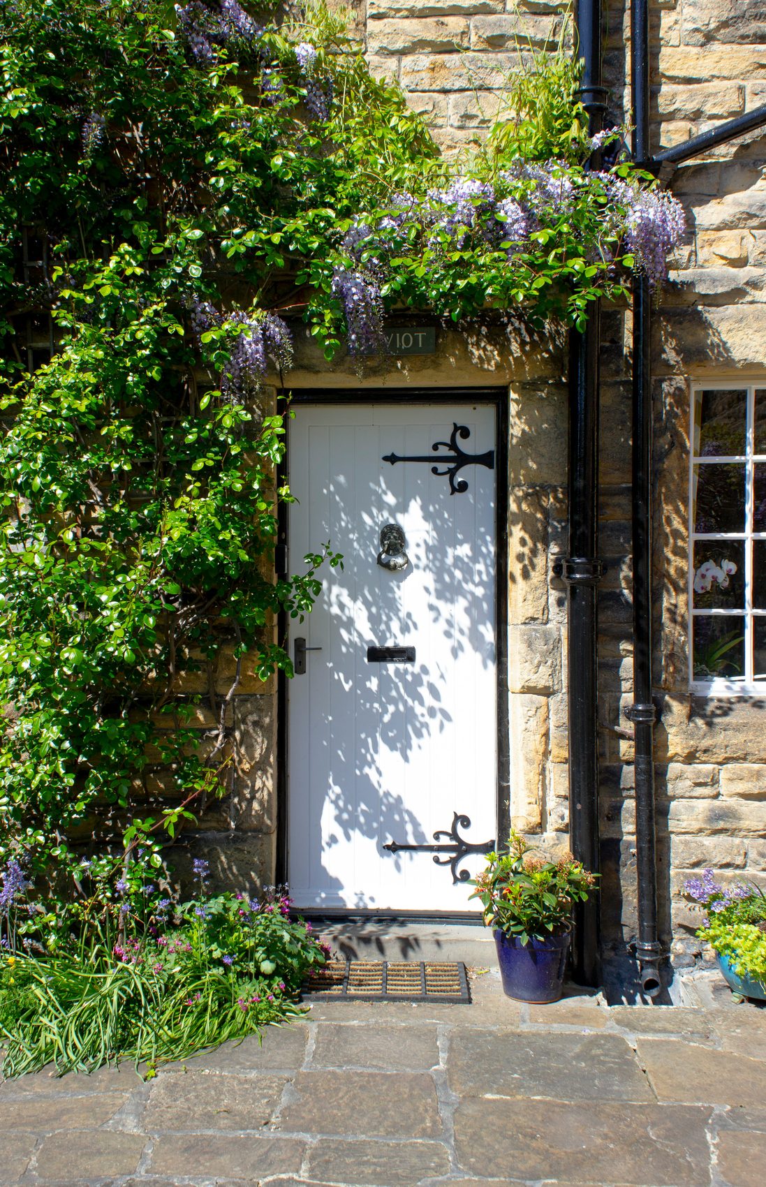 A front door framed by wisteria